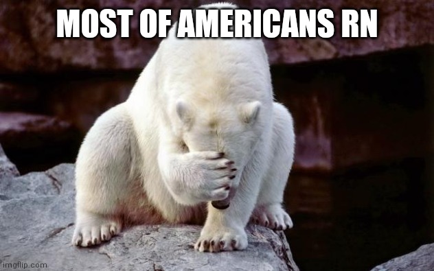 Horribly embarrassed polar bear | MOST OF AMERICANS RN | image tagged in horribly embarrassed polar bear | made w/ Imgflip meme maker