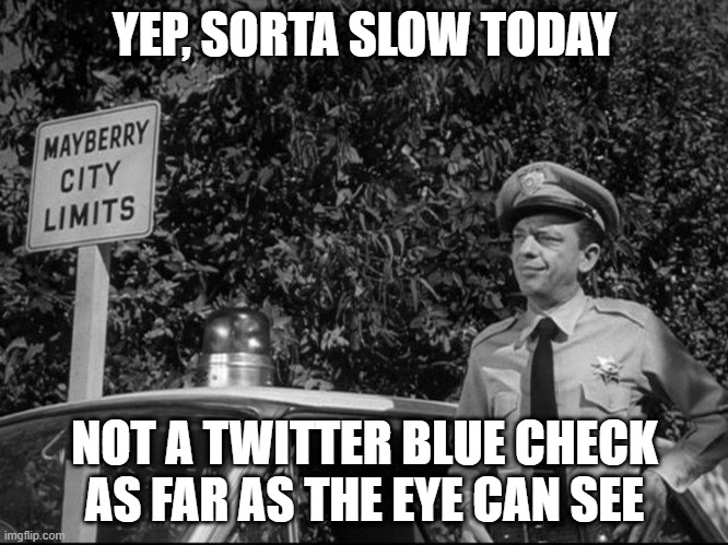 No Twitter blue checks | YEP, SORTA SLOW TODAY; NOT A TWITTER BLUE CHECK AS FAR AS THE EYE CAN SEE | image tagged in mayberry,barney fife,twitter,blue check | made w/ Imgflip meme maker