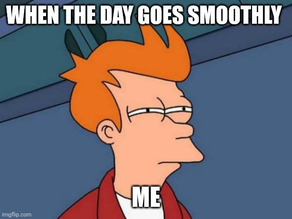 Futurama Fry Meme |  WHEN THE DAY GOES SMOOTHLY; ME | image tagged in memes,futurama fry | made w/ Imgflip meme maker