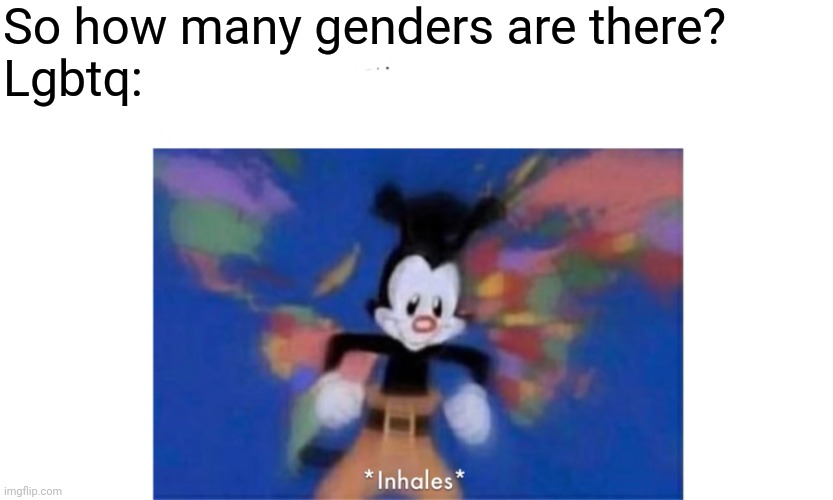 World occupied | So how many genders are there?
Lgbtq: | image tagged in world occupied | made w/ Imgflip meme maker