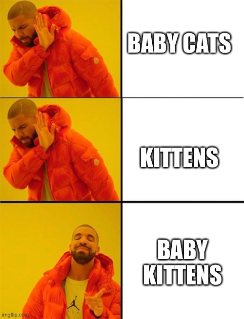 Pretty sure that’s what I’m supposed to call them | BABY CATS; KITTENS; BABY KITTENS | image tagged in drake meme 3 panels | made w/ Imgflip meme maker