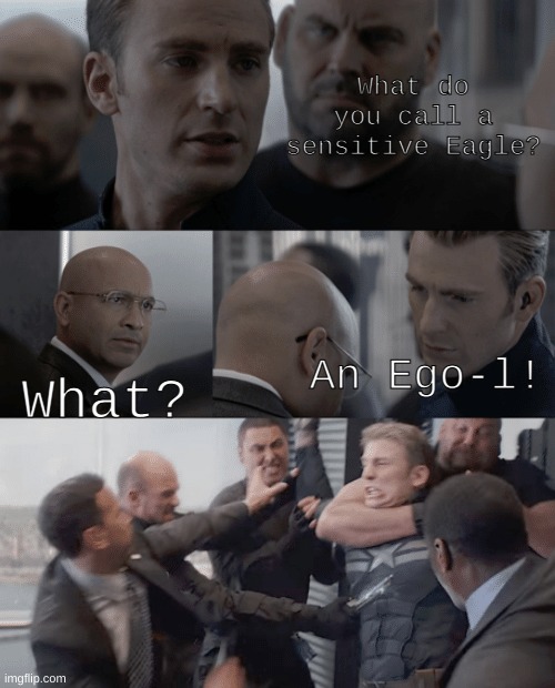 Trust me, if you say it right it works! | What do you call a sensitive Eagle? What? An Ego-l! | image tagged in captain america elevator,bad pun | made w/ Imgflip meme maker