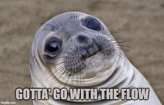 Awkward Moment Sealion Meme | GOTTA' GO WITH THE FLOW | image tagged in memes,awkward moment sealion | made w/ Imgflip meme maker