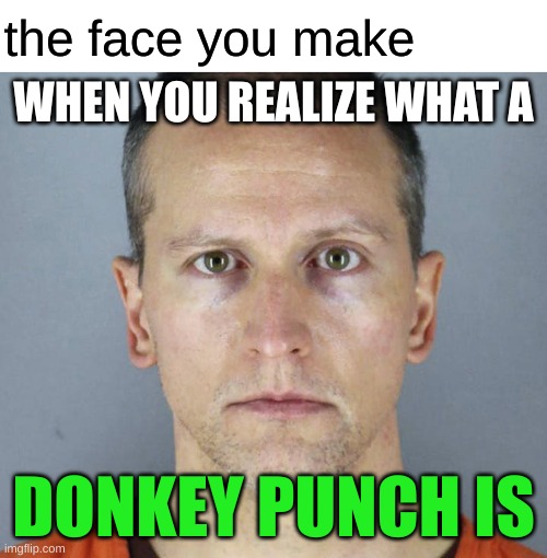 kyle dodged more than a bullet | the face you make; WHEN YOU REALIZE WHAT A; DONKEY PUNCH IS | image tagged in blank white template,derek chauvin,anal sex,hide the pain,memes,prison | made w/ Imgflip meme maker