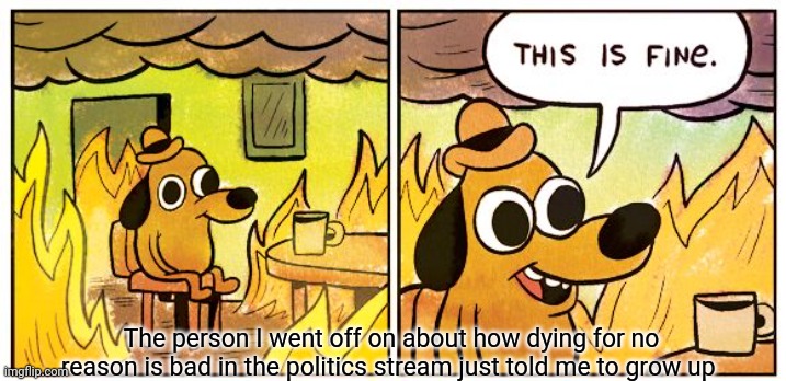 TIME TO MAKE MURDER LEGAL, WHO WANTS TO DIE FIRST?! | The person I went off on about how dying for no reason is bad in the politics stream just told me to grow up | image tagged in memes,this is fine | made w/ Imgflip meme maker