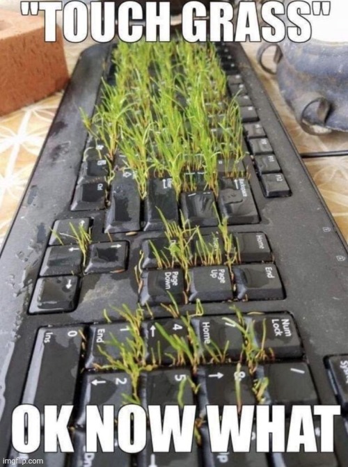 Told ya touching grass is overrated | made w/ Imgflip meme maker
