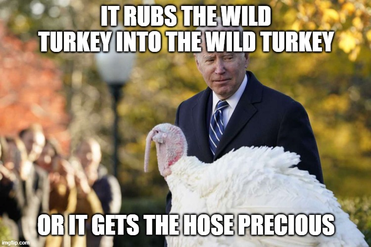 Goggzilla and whiskey | IT RUBS THE WILD TURKEY INTO THE WILD TURKEY; OR IT GETS THE HOSE PRECIOUS | image tagged in introspective joe biden and instrospective turkey | made w/ Imgflip meme maker