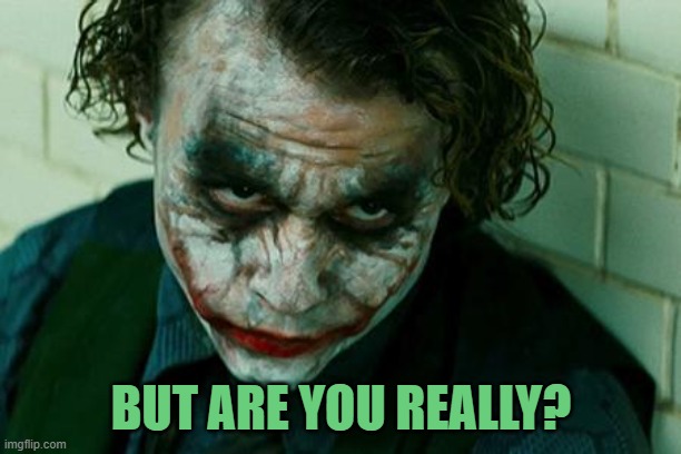 The Joker Really | BUT ARE YOU REALLY? | image tagged in the joker really | made w/ Imgflip meme maker