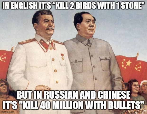 Coloquial | IN ENGLISH IT’S “KILL 2 BIRDS WITH 1 STONE”; BUT IN RUSSIAN AND CHINESE IT'S "KILL 40 MILLION WITH BULLETS" | image tagged in stalin and mao | made w/ Imgflip meme maker