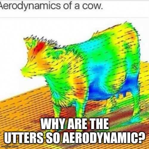 WHY ARE THE UTTERS SO AERODYNAMIC? | made w/ Imgflip meme maker