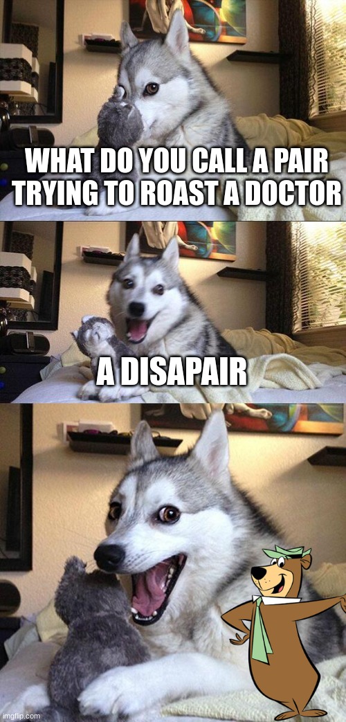 idk | WHAT DO YOU CALL A PAIR TRYING TO ROAST A DOCTOR; A DISAPAIR | image tagged in memes,bad pun dog | made w/ Imgflip meme maker