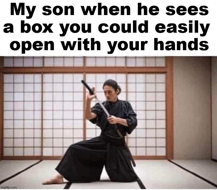 He likes using his knives. | My son when he sees a box you could easily 
open with your hands | image tagged in look son,knives | made w/ Imgflip meme maker