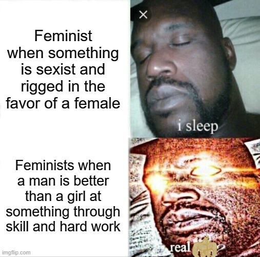 Feminist meme | Feminist when something is sexist and rigged in the favor of a female; Feminists when a man is better than a girl at something through skill and hard work | image tagged in sleeping shaq,funny meme | made w/ Imgflip meme maker