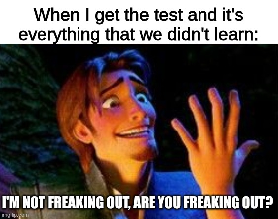 *internal screaming* | When I get the test and it's everything that we didn't learn:; I'M NOT FREAKING OUT, ARE YOU FREAKING OUT? | image tagged in tangled,disney,school,test,scared,help | made w/ Imgflip meme maker