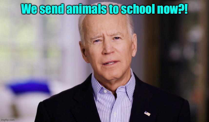 Joe Biden 2020 | We send animals to school now?! | image tagged in joe biden 2020 | made w/ Imgflip meme maker