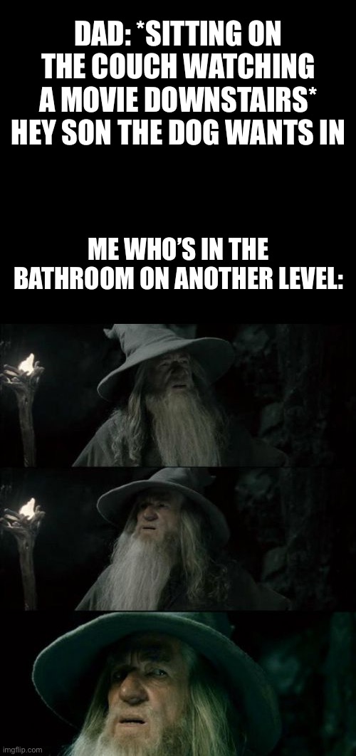It’s true tho | DAD: *SITTING ON THE COUCH WATCHING A MOVIE DOWNSTAIRS* HEY SON THE DOG WANTS IN; ME WHO’S IN THE BATHROOM ON ANOTHER LEVEL: | image tagged in memes,confused gandalf | made w/ Imgflip meme maker