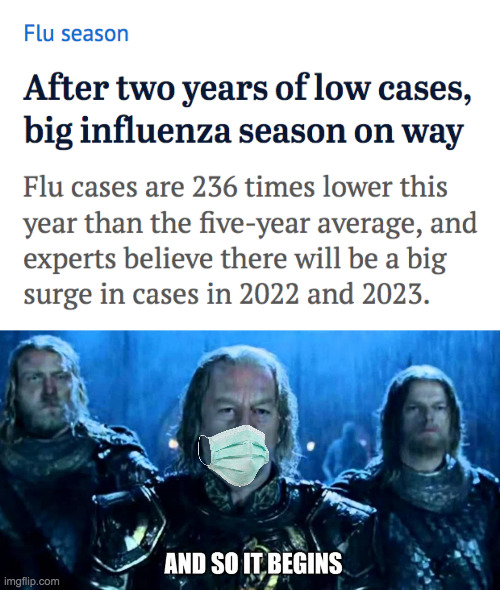 Flu Season And So It Begins | image tagged in flu,covid-19,lord of the rings | made w/ Imgflip meme maker