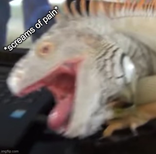 *screams of pain* | made w/ Imgflip meme maker