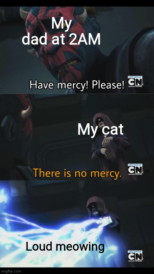 This happened a few minutes ago and I immediately made this meme | My dad at 2AM; My cat; Loud meowing | image tagged in no mercy | made w/ Imgflip meme maker