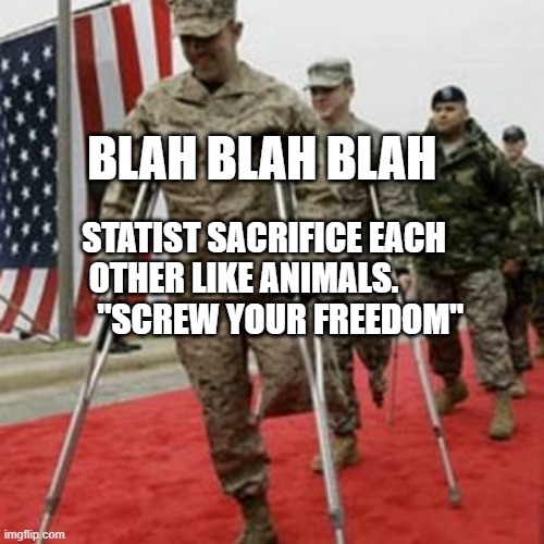 veterans lose money | BLAH BLAH BLAH; STATIST SACRIFICE EACH OTHER LIKE ANIMALS.              "SCREW YOUR FREEDOM" | image tagged in veterans lose money | made w/ Imgflip meme maker