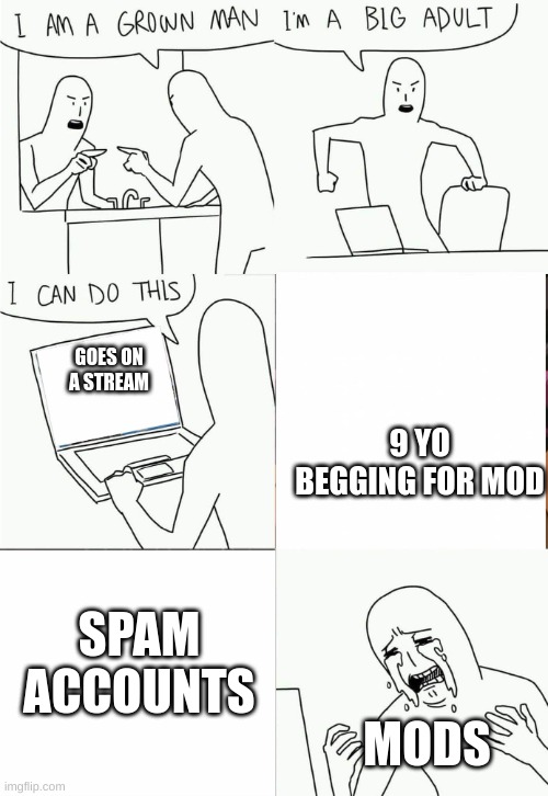 and that why I'm not a mod | 9 YO BEGGING FOR MOD; GOES ON A STREAM; SPAM ACCOUNTS; MODS | image tagged in i'm a grown man i am a big adult i can do this,so true memes,memes | made w/ Imgflip meme maker