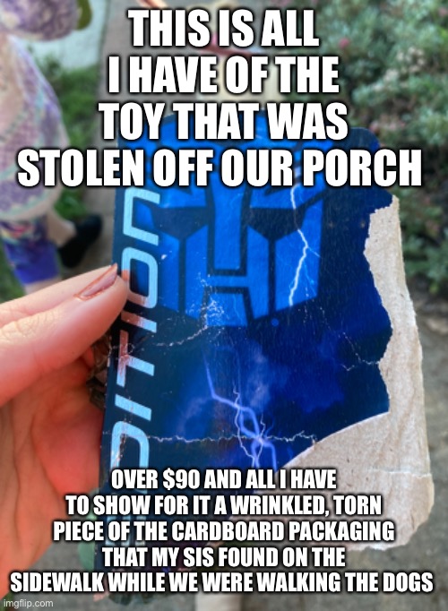I rather the toy had been destroyed than them getting a free toy | THIS IS ALL I HAVE OF THE TOY THAT WAS STOLEN OFF OUR PORCH; OVER $90 AND ALL I HAVE TO SHOW FOR IT A WRINKLED, TORN PIECE OF THE CARDBOARD PACKAGING THAT MY SIS FOUND ON THE SIDEWALK WHILE WE WERE WALKING THE DOGS | image tagged in i,hate,porch pirates,so,much,they are scum | made w/ Imgflip meme maker