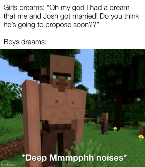 image tagged in memes,minecraft,villager,not really a gif | made w/ Imgflip meme maker