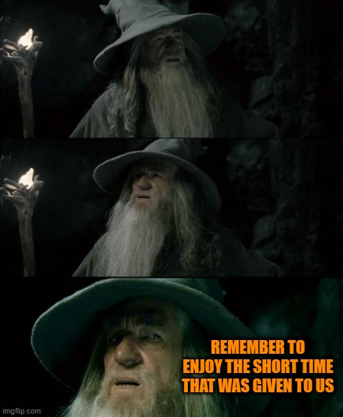 Confused Gandalf Meme | REMEMBER TO ENJOY THE SHORT TIME THAT WAS GIVEN TO US | image tagged in memes,confused gandalf | made w/ Imgflip meme maker