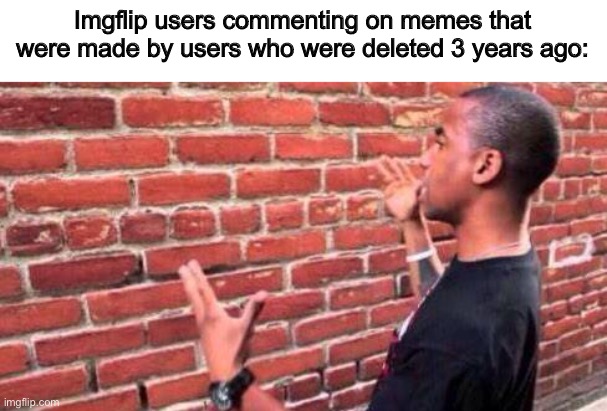 Why do imgflip users comment like this? |  Imgflip users commenting on memes that were made by users who were deleted 3 years ago: | image tagged in brick wall,imgflip,imgflip users,memes,funny,deleted accounts | made w/ Imgflip meme maker