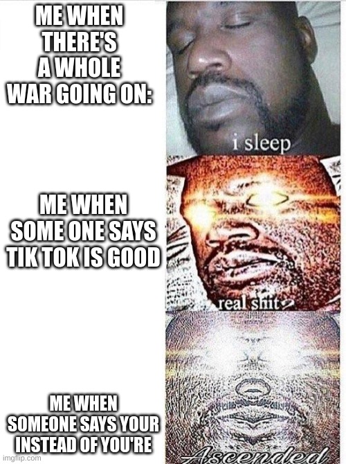 terue | ME WHEN THERE'S A WHOLE WAR GOING ON:; ME WHEN SOME ONE SAYS TIK TOK IS GOOD; ME WHEN SOMEONE SAYS YOUR INSTEAD OF YOU'RE | image tagged in i sleep meme with ascended template,memes,tik tok sucks,true story | made w/ Imgflip meme maker