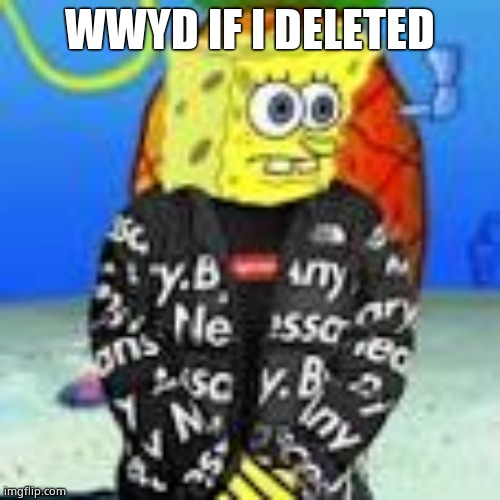 Spongebob Drip | WWYD IF I DELETED | image tagged in spongebob drip | made w/ Imgflip meme maker