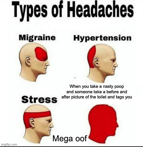 Types of Headaches meme | When you take a nasty poop and someone take a before and after picture of the toilet and tags you; Mega oof | image tagged in types of headaches meme | made w/ Imgflip meme maker