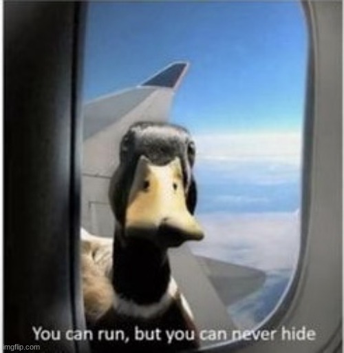 You can run but you can never hide | image tagged in you can run but you can never hide | made w/ Imgflip meme maker