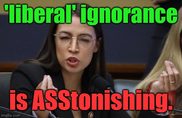 aoc Spicy Meatball | 'liberal' ignorance is ASStonishing. | image tagged in aoc spicy meatball | made w/ Imgflip meme maker