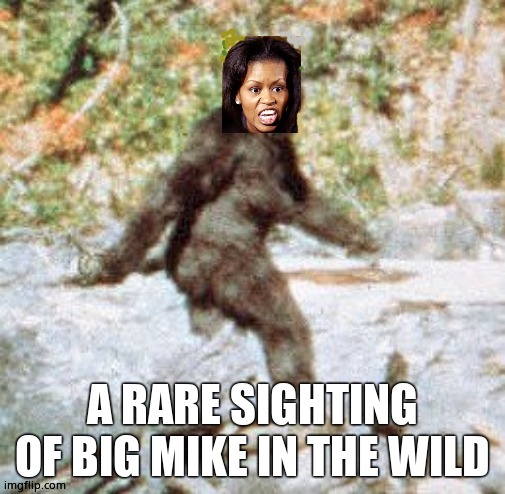 Michelle the Sasquatch | A RARE SIGHTING OF BIG MIKE IN THE WILD | image tagged in michelle the sasquatch | made w/ Imgflip meme maker
