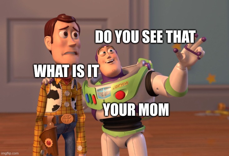 do you see that | DO YOU SEE THAT; WHAT IS IT; YOUR MOM | image tagged in memes,x x everywhere | made w/ Imgflip meme maker