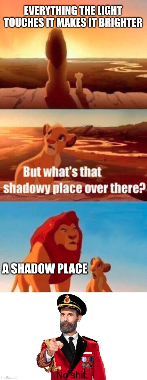 captain obvious |  EVERYTHING THE LIGHT TOUCHES IT MAKES IT BRIGHTER; A SHADOW PLACE; No shit. | image tagged in memes,simba shadowy place,captain obvious,obviously,dark | made w/ Imgflip meme maker