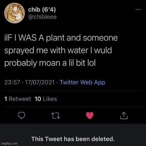 I'm sorry what | made w/ Imgflip meme maker