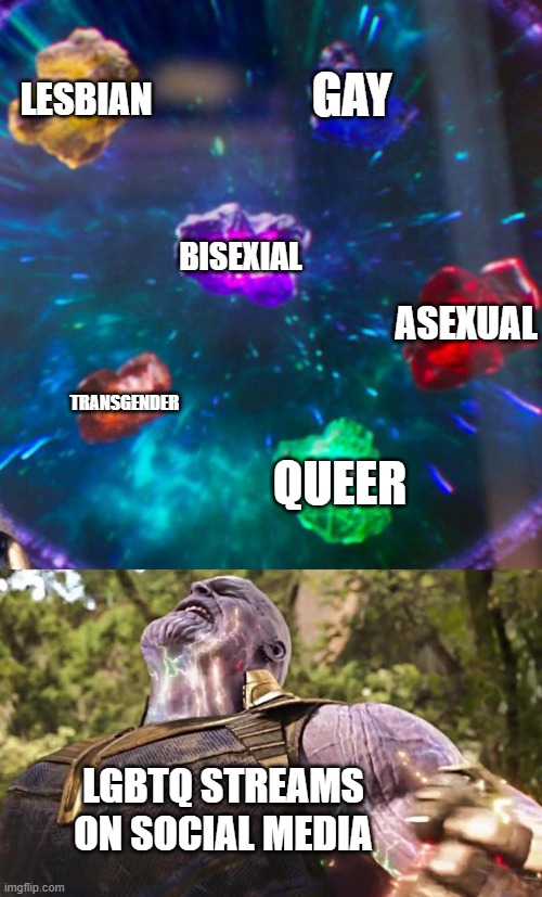 Thanos Infinity Stones | LESBIAN GAY BISEXIAL TRANSGENDER QUEER ASEXUAL LGBTQ STREAMS ON SOCIAL MEDIA | image tagged in thanos infinity stones | made w/ Imgflip meme maker