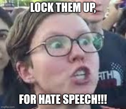 SJW | LOCK THEM UP, FOR HATE SPEECH!!! | image tagged in sjw | made w/ Imgflip meme maker