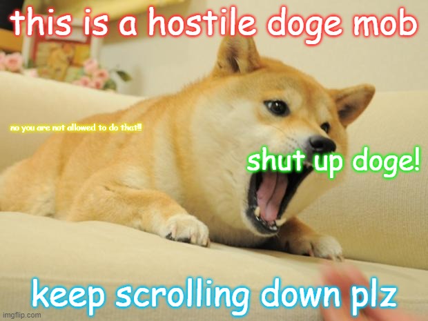 doge defies orders. i tried not to make him. | this is a hostile doge mob; no you are not allowed to do that!! shut up doge! keep scrolling down plz | image tagged in angry doge | made w/ Imgflip meme maker