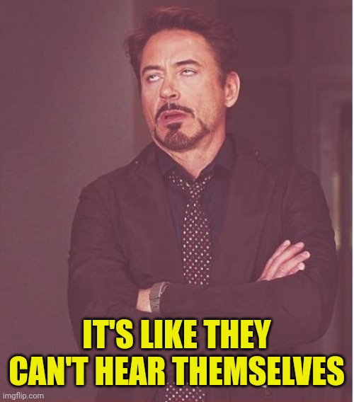 Face You Make Robert Downey Jr Meme | IT'S LIKE THEY CAN'T HEAR THEMSELVES | image tagged in memes,face you make robert downey jr | made w/ Imgflip meme maker