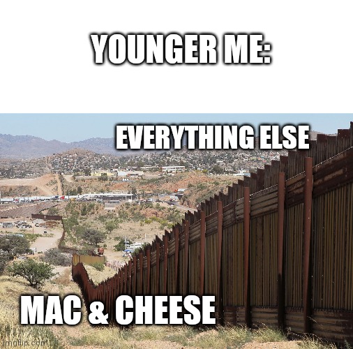 Eeeee | YOUNGER ME:; EVERYTHING ELSE; MAC & CHEESE | image tagged in border wall 02,food | made w/ Imgflip meme maker