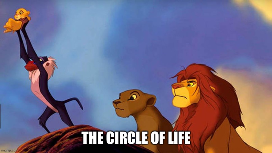 Circle of Life | THE CIRCLE OF LIFE | image tagged in circle of life | made w/ Imgflip meme maker