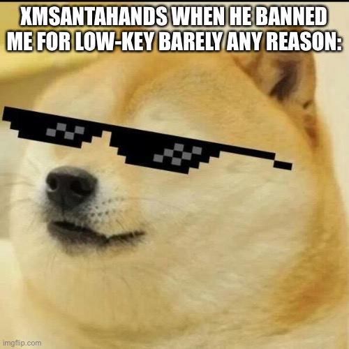 Sunglass Doge | XMSANTAHANDS WHEN HE BANNED ME FOR LOW-KEY BARELY ANY REASON: | image tagged in sunglass doge | made w/ Imgflip meme maker