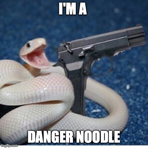 I'm dangerous. | I'M A; DANGER NOODLE | image tagged in i'm dangerous | made w/ Imgflip meme maker