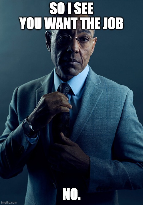 no. | SO I SEE YOU WANT THE JOB; NO. | image tagged in gus fring we are not the same | made w/ Imgflip meme maker