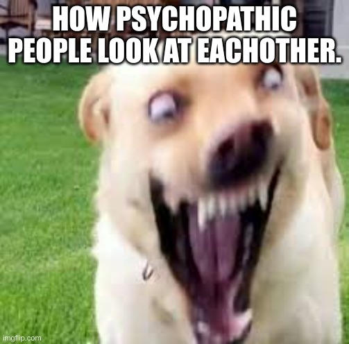 Crazy dog man | HOW PSYCHOPATHIC PEOPLE LOOK AT EACHOTHER. | image tagged in crazy dog man | made w/ Imgflip meme maker