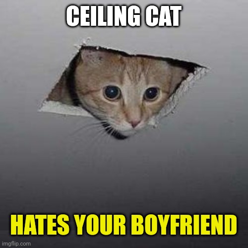 Ceiling Cat | CEILING CAT; HATES YOUR BOYFRIEND | image tagged in memes,ceiling cat | made w/ Imgflip meme maker