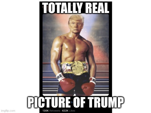 Blank White Template | TOTALLY REAL; PICTURE OF TRUMP | image tagged in blank white template | made w/ Imgflip meme maker